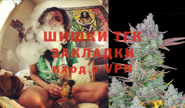 гидра Алексин