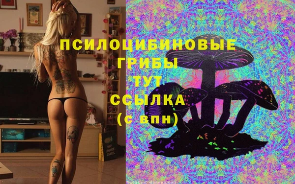 соль ск Алексеевка