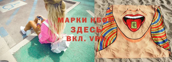 гидра Алексин