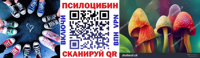 Псилоцибиновые грибы Psilocybine cubensis  Ардон 